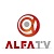 TV Alfa Ուղիղ եթեր