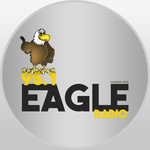 Eagle 95.1 FM - WUPN