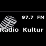 Budaya Radio