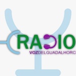 راديو بيزارا
