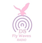 Rádio DS Fly Waves