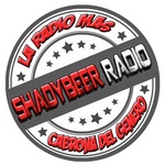 ShadyBeer радиосы