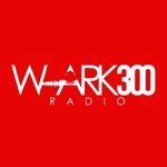 Radio W-ARK 300