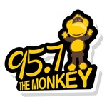 95.7 बंदर - K239CP