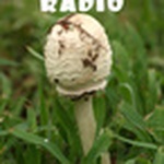Диллигаф Радио
