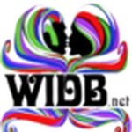 WIDB.NET Միջոց