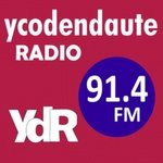 Ycoden Daute 收音機