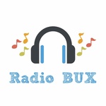라디오 BUX