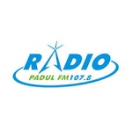 Raadio Padul