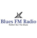 K-Blues 调频收音机