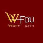 基本的 WFDU – WFDU