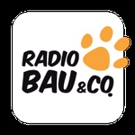 105 号广播电台 – Bau & Co 广播电台