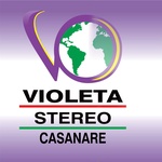 ויולטה סטריאו FM