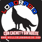 Radio Willie Lobo