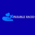 패러블 라디오