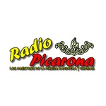 Radio Picarona Villarica-Pucón