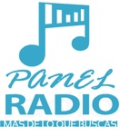 پینل ریڈیو