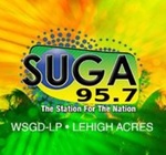 SUGA 95.7 FM ریڈیو اسٹیشن - WSGD-LP