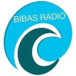 רדיו BIBAS