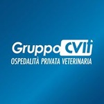 Đài phát thanh GruppoCVIT