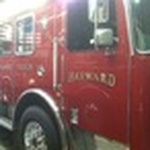 Foc de Hayward