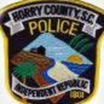 Police du comté de Horry - Répartition sud