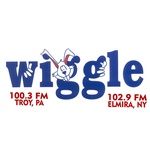 Wiggle 100 — WHGL-FM