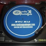 NYC Kid 100% Salsa