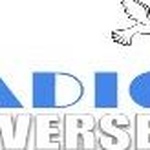Universel радиосы
