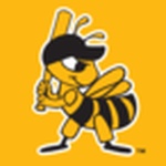 Baseballová sieť Salt Lake Bees