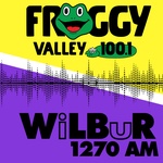 Vale Froggy 100.1 – WFVY