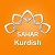 Сахар курдский в прямом эфире