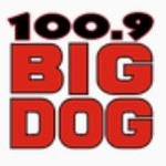 Veľký pes 100.9 – CKTO-FM