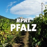 RPR1。 ファルツ