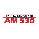 АМ 530 Мултикултурални радио – ЦИАО