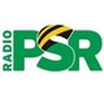 라디오 PSR