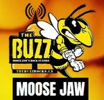 Buzz Moose Jaw