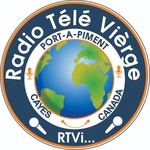 ラジオ テレ ヴィエルジュ