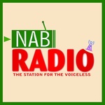 רדיו NAB