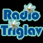라디오 트리글라브