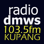 DMWS 103.5 FM কুপাং