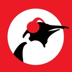 Rádio Pinguin – Aardschok