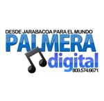Palmera Dijital