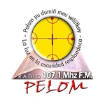 Đài phát thanh Pelom FM