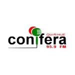 Радио Conifera FM