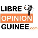 Stellungnahme von Radio Libre (RLO)