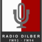 Radijas Dilber 93