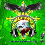 फ्रीडम ऑनलाइन रेडियो 104.0