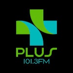 প্লাস 101.3 FM