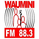 電台Waumini